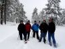Snowshoeing in community