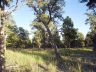 Hawk's Landing lot 3