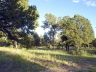 Hawk's Landing lot 2