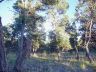 Hawk's Landing lot 2