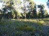 Hawk's Landing lot 2