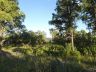 Hawk's Landing lot 1 view