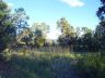 Hawk's Landing lot 1 view