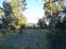 Hawk's Landing lot 1 view