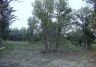 Hawk's Landing lot 4 - spring