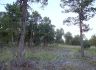 Hawk's Landing lot 4 - spring