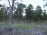 Hawk's Landing lot 4 - spring