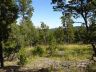 Hawk's Landing lot 1 view