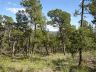 Hawk's Landing lot 1 view