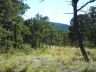 Hawk's Landing lot 3 view