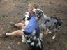 Debbie with Skye & Diva