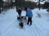 Tori & Debbie's pups