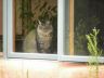What's so fascinating out there?