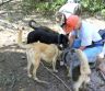 Doggie water break
