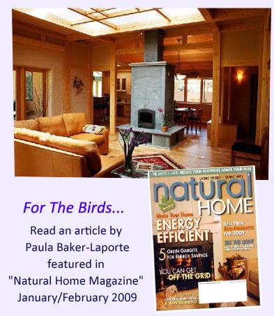 EcoNest interior | Birds of a Feather Community homes